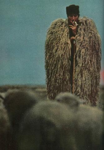 Terenti Jinjikhashvili