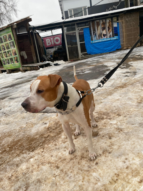 WhatsApp Image 2024-11-30 at 11.19.31 (1)