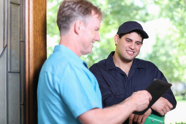 Termite pest control