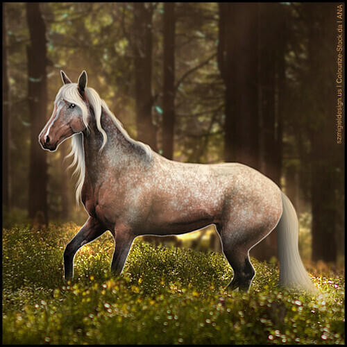 Sagebrush-HA.jpg
