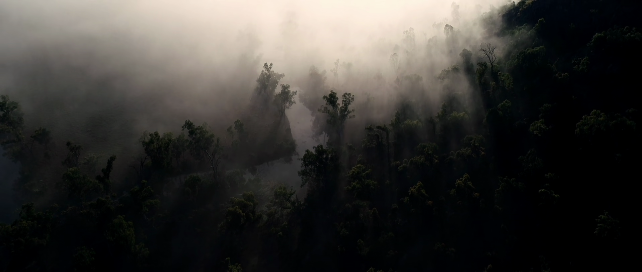 The Dead Lands (2020) S01E01 Tell the Dead Im Coming 1080p AMZN Webrip x265 10bit EAC3 2.0 - Ainz