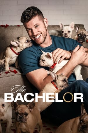 The Bachelor S27E02 WEB x264-TORRENTGALAXY The Bachelor S27E02 WEB x264-TORRENTGALAXY