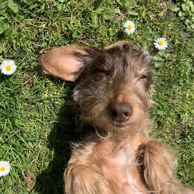 [Image: 0-C2590-EC-08-CC-4-E18-909-E-F18-F509-CB445.jpg]