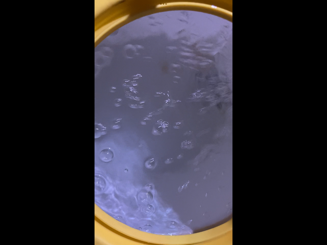 89F0624A-1CA0-49D8-A7F4-893161F06528