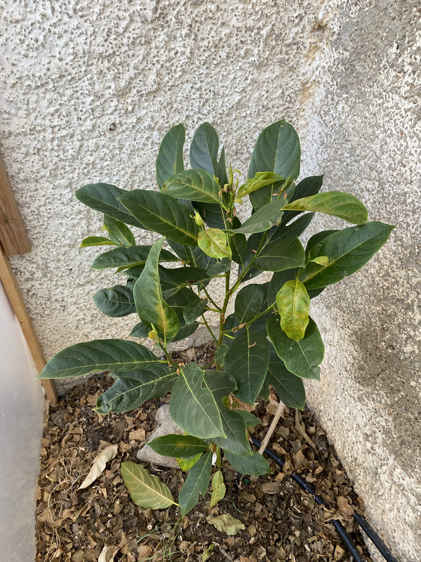 361FD16B-FD04-43C4-8B21-2644376985A2