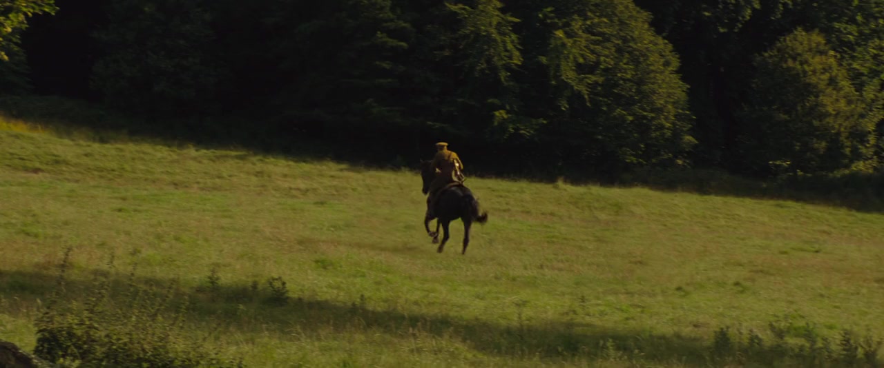 The Lost City of Z (2016) Free Movie Download The Lost City of Z (2016) Free Movie Download