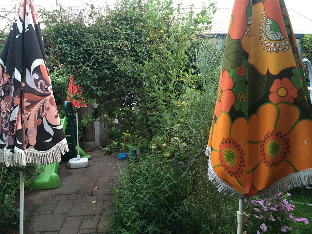 5815CDA1-4013-4185-86E1-A81DEA3DC246