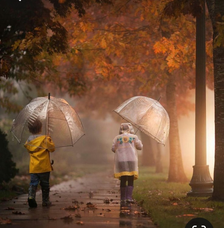 Screenshot_20231130_234427_Pinterest