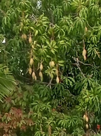 IMG_20231224_115446236_HDR~3