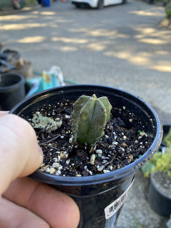 E8F423D1-7660-432E-A421-83FF41E2110A