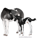 3092C29E-3E22-4960-B404-D6F16711E89D