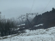 19 - Inébranlables mastodontes, absorbés par le froid, entourés par le sommeil