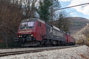IMG-2251