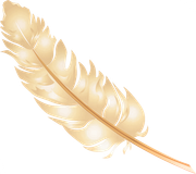 Halloweenpumpkinkitpudnfeather