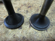 IMG-3688.jpg