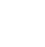 Christmasswishoffairydnlights