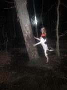 170118483_10224583116715646_8241541621128867811_n