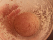 Levain 1 - 16h after refeed