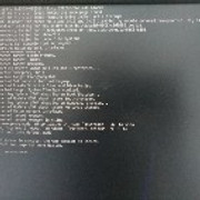 11027.jpg