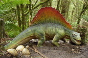 https://i.postimg.cc/jnXNC8FM/268038-dimetrodon-32.jpg