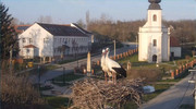 Kép