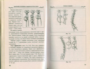 Makrame-i-businy-v-sovremennoy-bizhuterii-2006-21