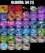 gliders-comp