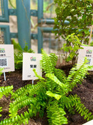 photo-20211123-iherbalgarden-011