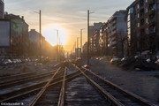 IMG-4348