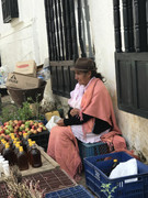 IMG-8460
