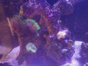 4b3db962 9bc7 45d9 b414 0740b34a08b1