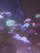 2179a259 fb88 4623 85d2 4ae3f40fe969