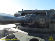 IMG-3493
