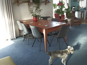 IMG20250424153707_01b