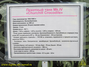 IMG-1439