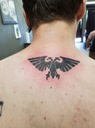 103256459_10157552063362452_2922118160482407404_o