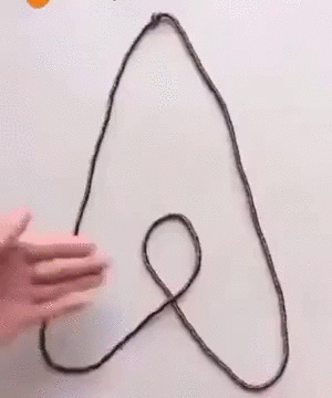 https://i.postimg.cc/jq11dHWC/5.gif