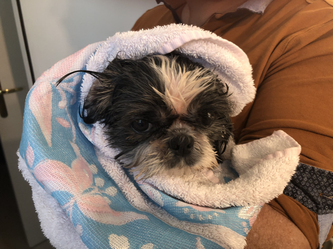 [Image: DE2103-DE-35-CE-4-D74-8421-EB72-C796-BBE5.jpg]