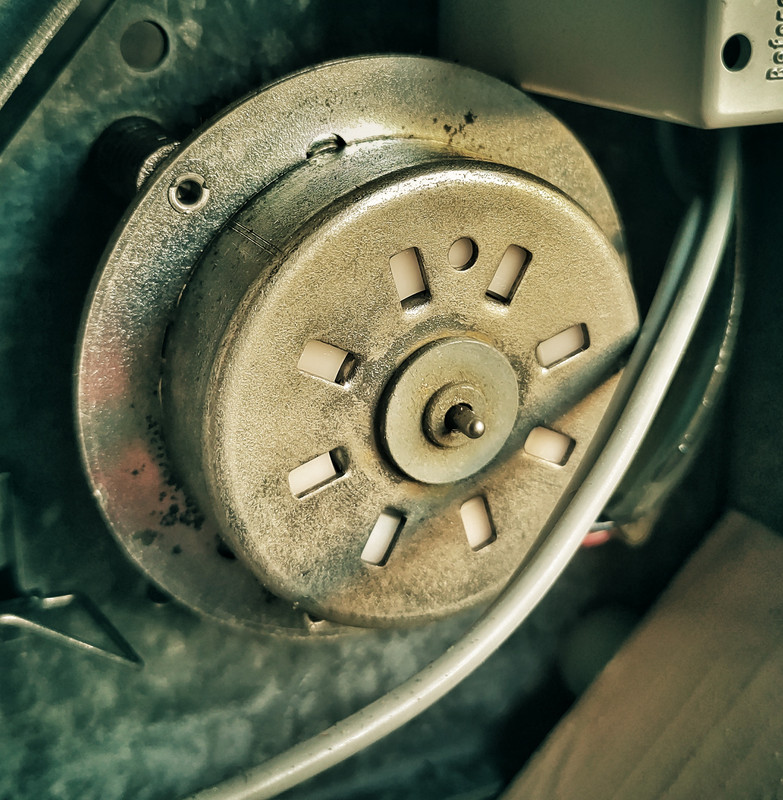 IMG_20220716_173132550-01