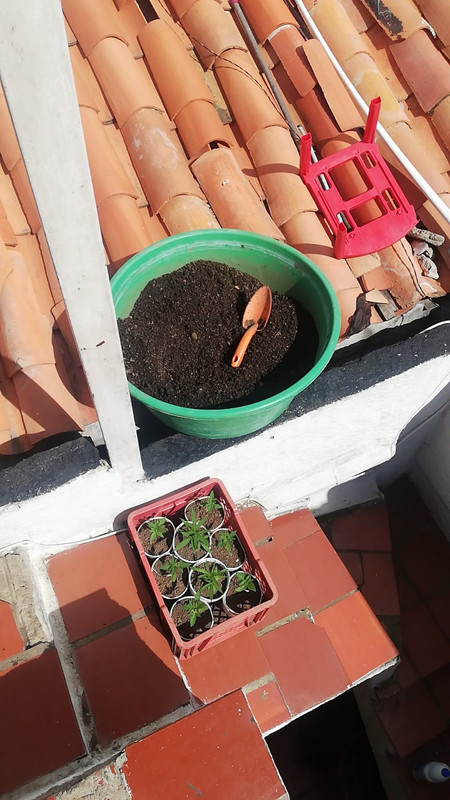 acondicionamiento de suelo 2