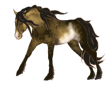 cheval2.png