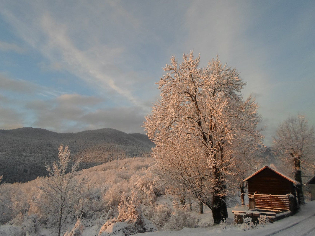 KRASNO 1 — Postimages