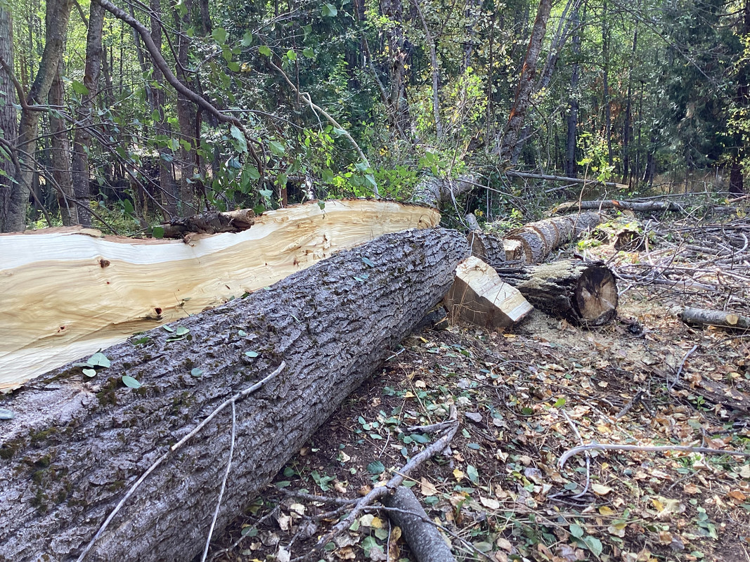 E8CAA8CE-BBC1-499C-A47B-696C15F1895D