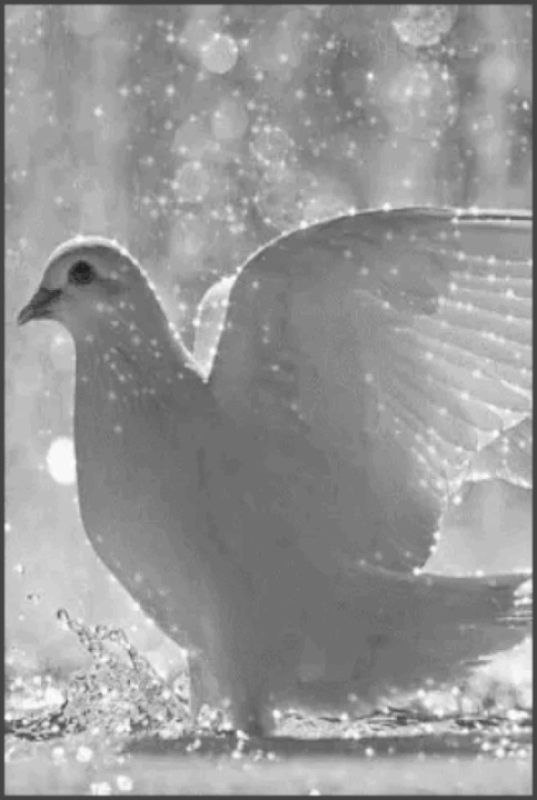 36012047-C4BE-45FC-A861-3CC46671285B