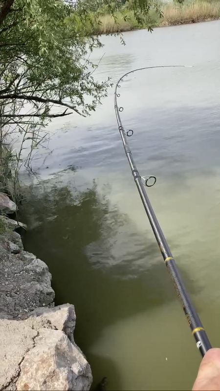 B355AD64-DAB9-48C3-A55C-D3ECB4CC318D