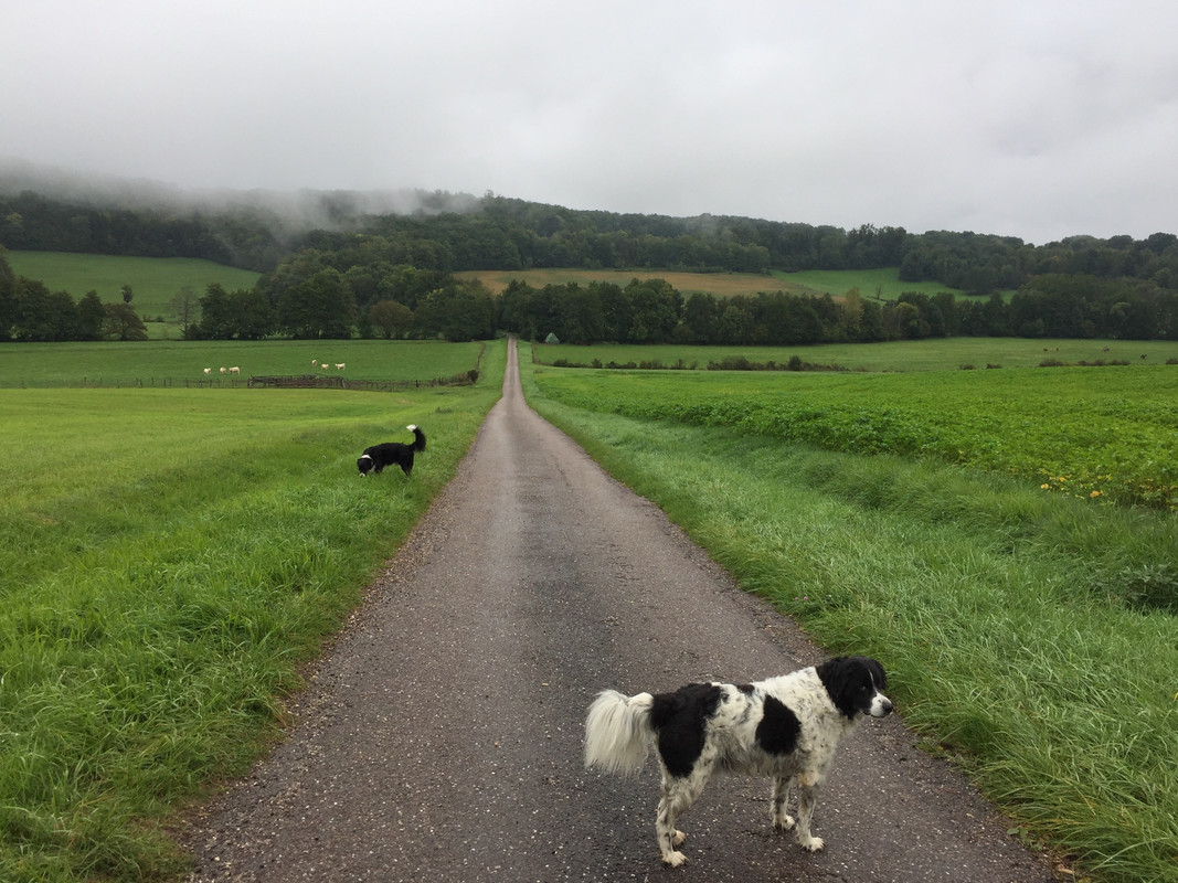 7FB4E000-B269-42C8-9FC5-037F3BDCAE27