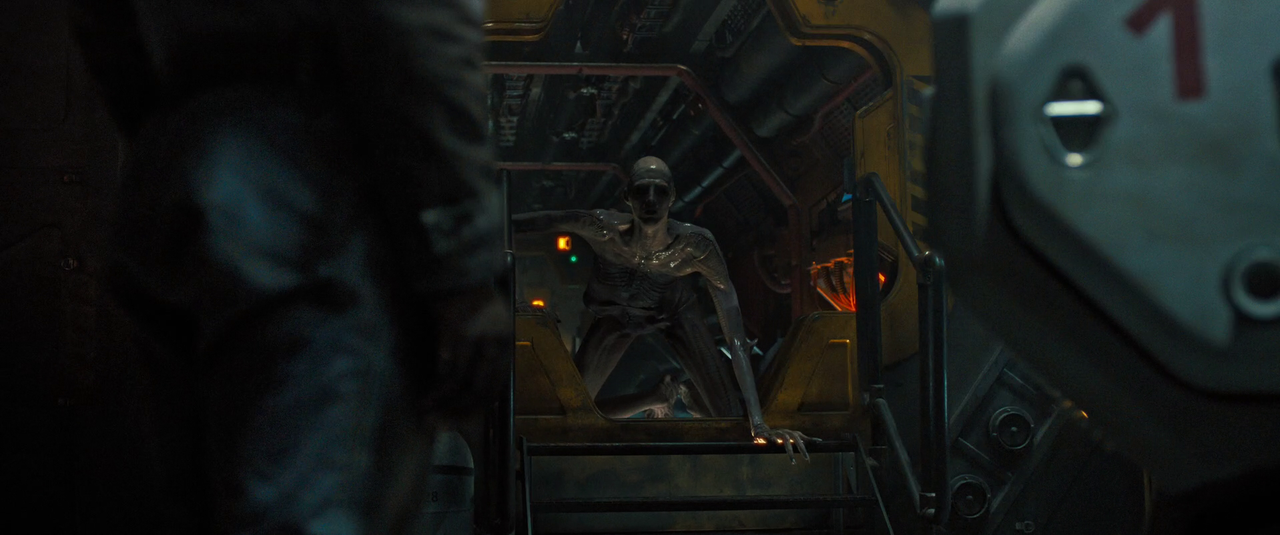 vlcsnap-2024-10-14-08h36m03s116