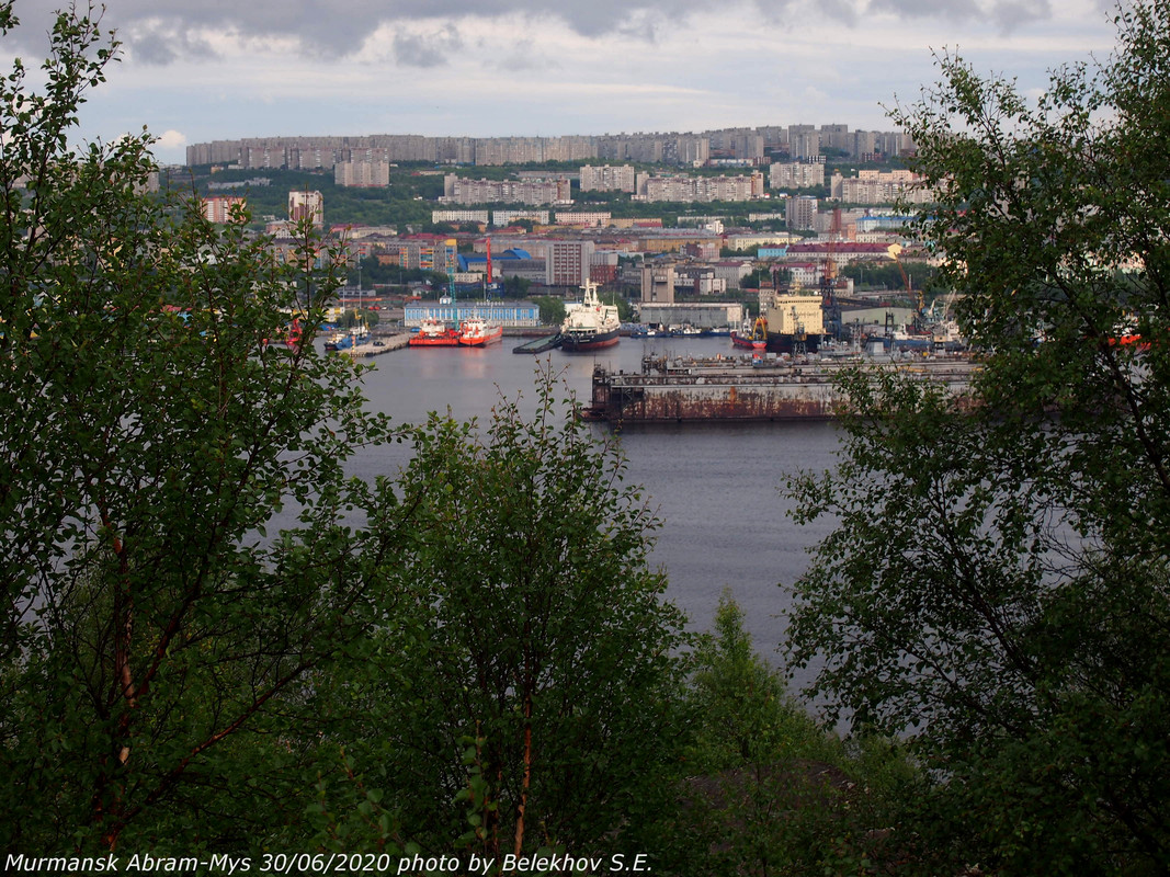 Абрам-Мыс, Кольский залив, лето Абрам-Мыс, Кольский залив, лето