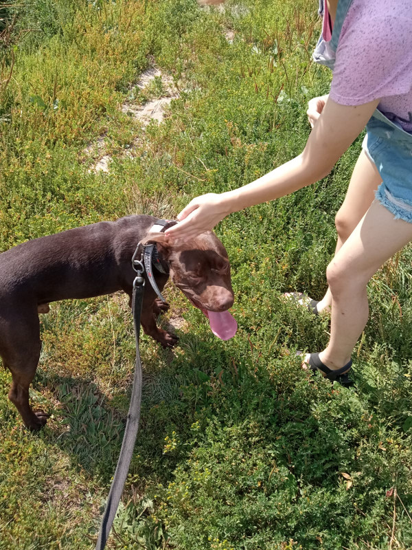 9E05A3A8-F01B-491D-BC5E-1D57E0D8DB76