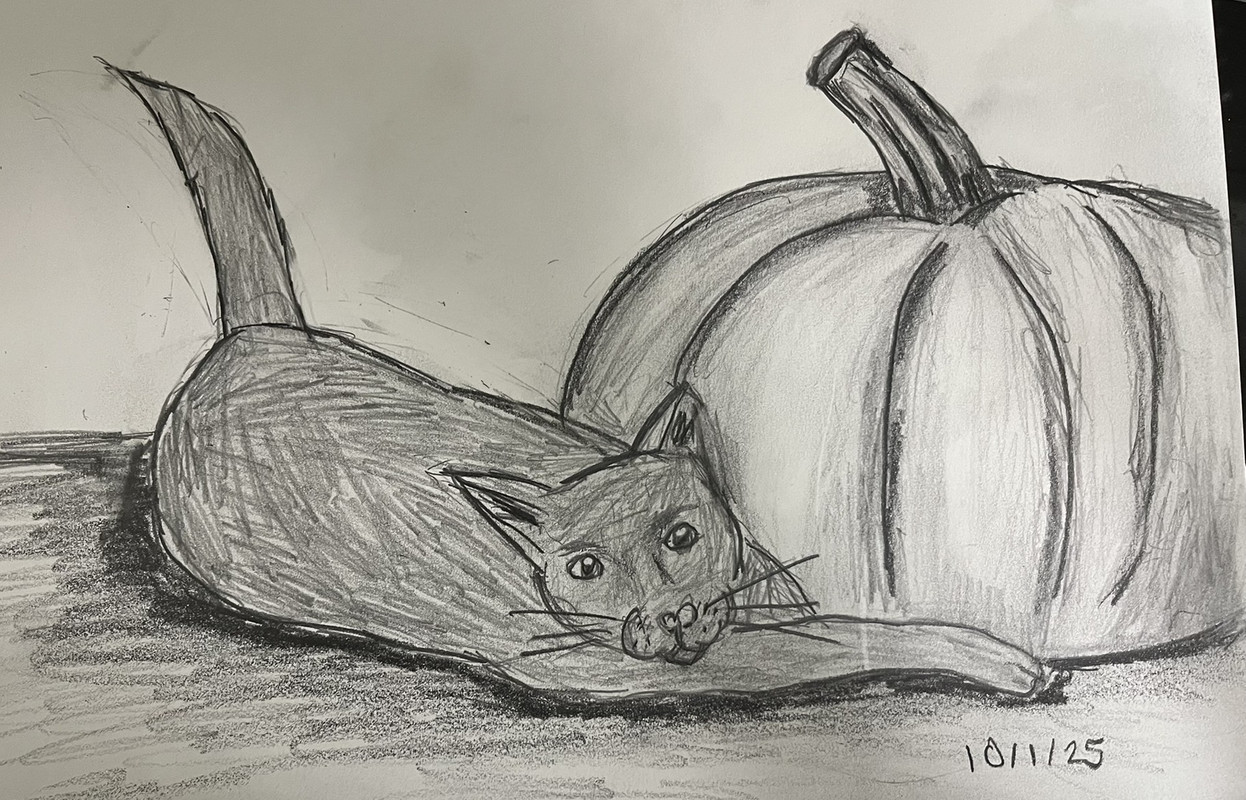 catandpumpkin